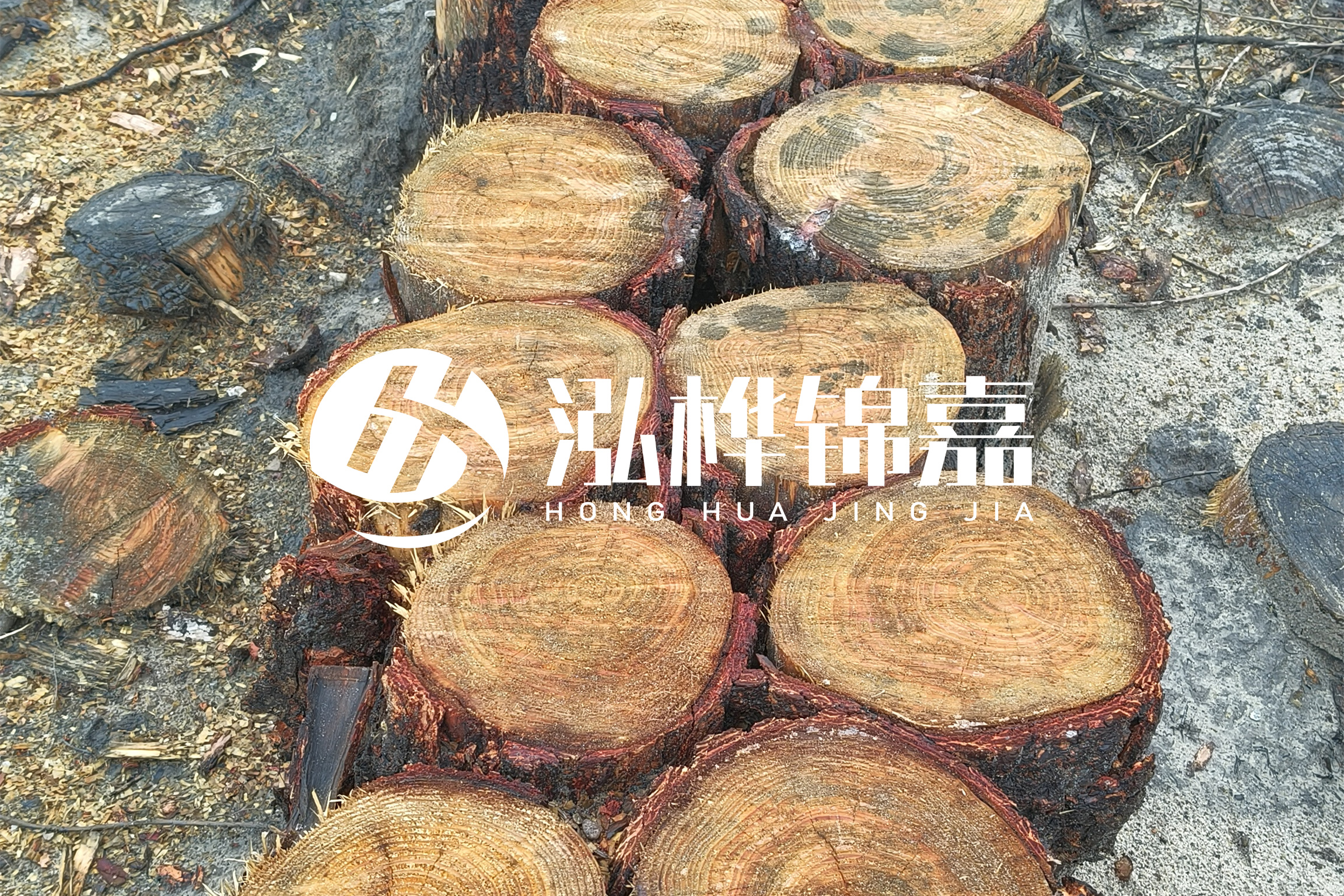 浙江臺(tái)州有清淤的公司嗎？浙江臺(tái)州有清淤施工隊(duì)嗎？