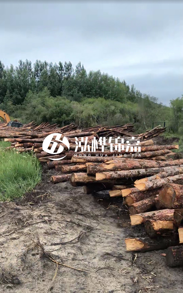 甘肅河道清淤工程公司-為什么要進行河道清淤？