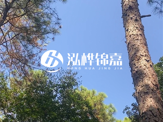 松木樁廠家泓樺錦嘉可以實(shí)地考察嗎？需要提前預(yù)約嗎？